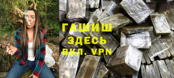 хмурый Аркадак