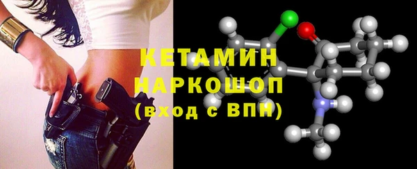 хмурый Аркадак