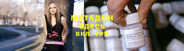 хмурый Аркадак