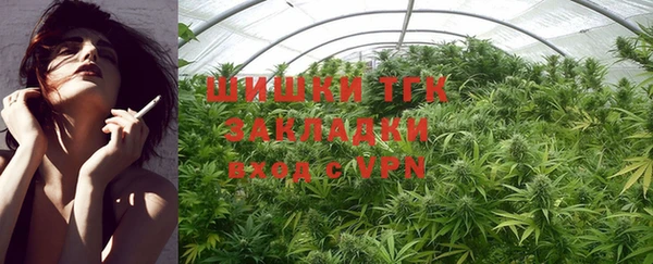 хмурый Аркадак