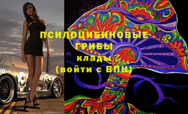хмурый Аркадак