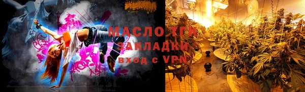 хмурый Аркадак
