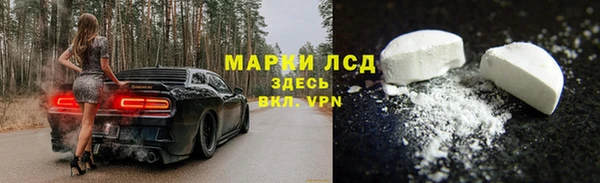 хмурый Аркадак
