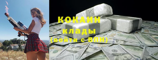 хмурый Аркадак