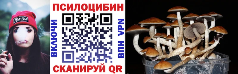 купить Болохово blacksprut маркетплейс Галлюциногенные грибы Psilocybe
